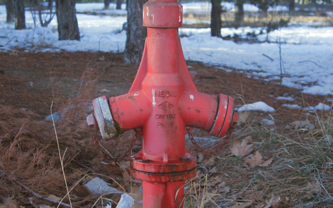 Red fire hydrant among pine trees