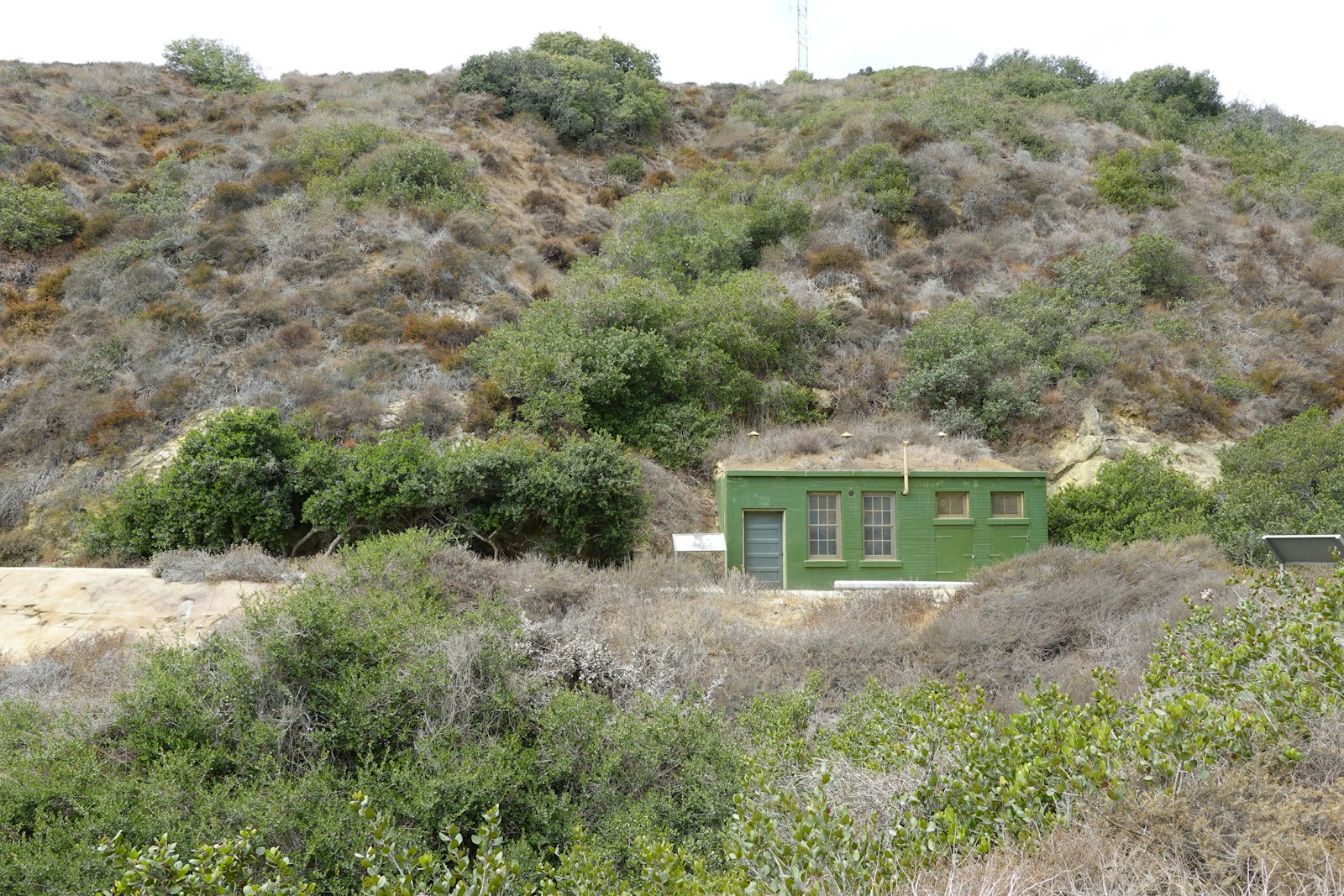 Small home on a hillside surrounded by dense brush