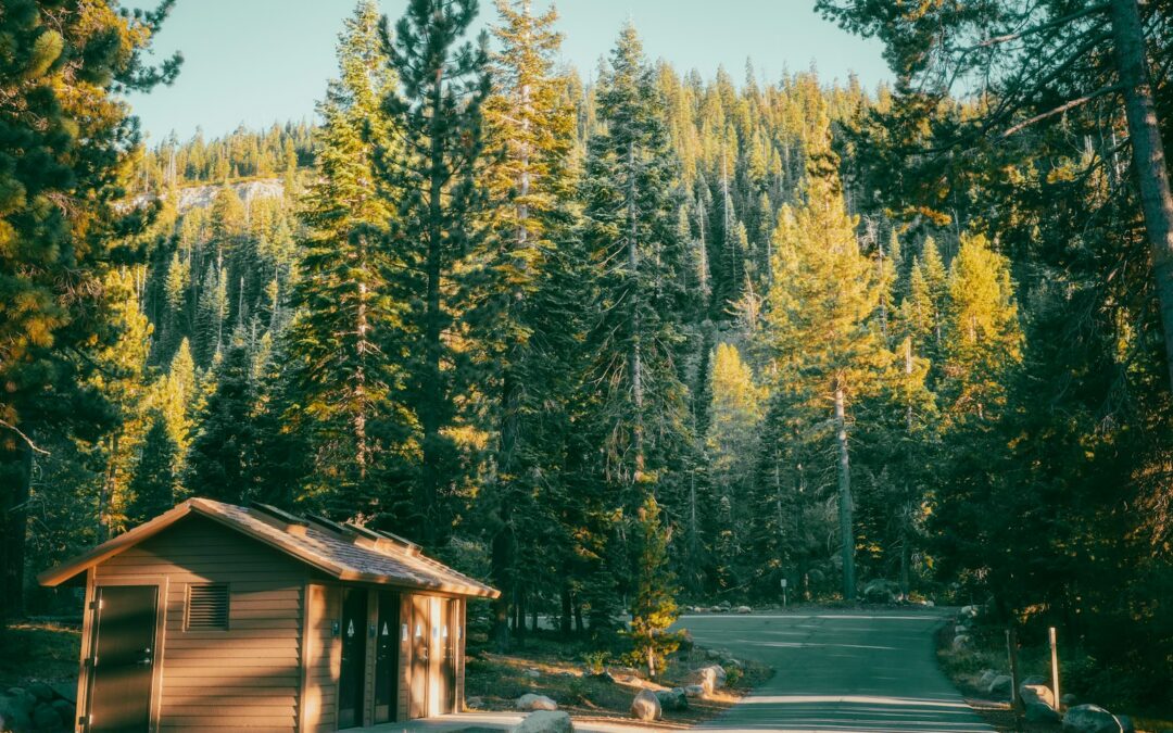 Small wooden cabin among pine trees in Truckee, California
