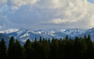 Home Insurance in Truckee and Lake Tahoe: A Local Guide for California Homeowners
